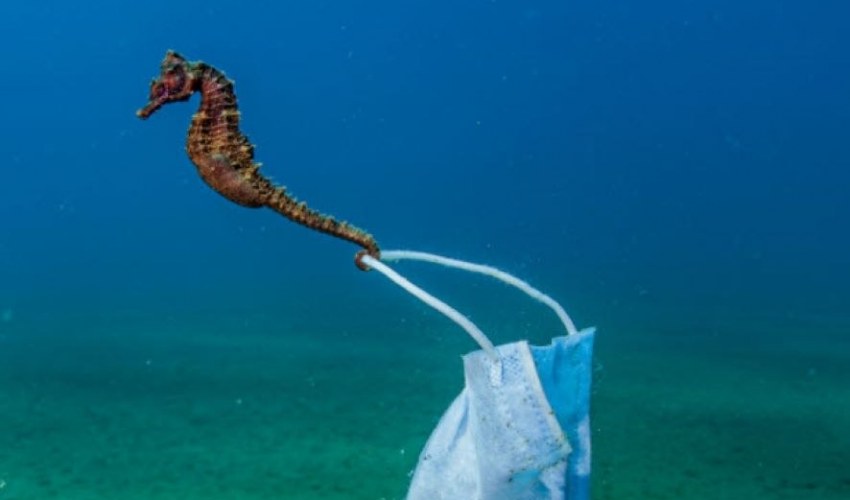 Φωτ.: Νικόλας Σαμαράς