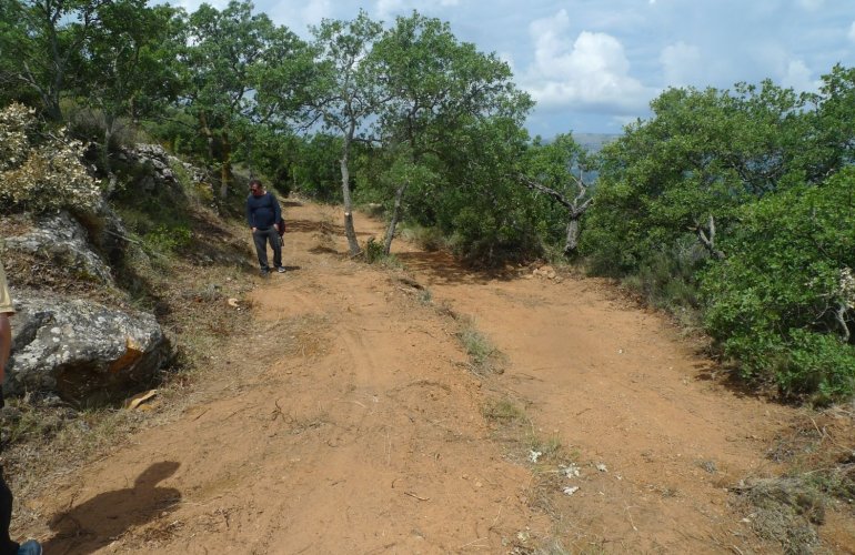 Βλέποντας κάποιος αυτή τη φωτογραφία, μπορεί να ισχυριστεί ότι αφορά συντήρηση μονοπατιού  ( πλάτους 80 cm ) και όχι διάνοιξη αυτοκινητόδρομου διπλής κατεύθυνσης με νησίδα- ΦΩΤΟ: Γιώργος Χαλάτσης