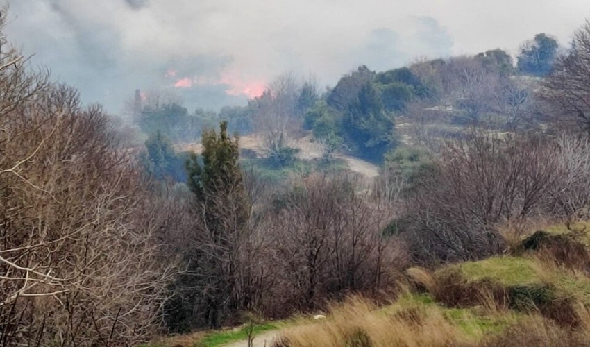 Επιτόπου έσπευσαν 33 πυροσβέστες με ομάδα πεζοπόρου τμήματος, 11 οχήματα και δύο αεροσκάφη τύπου Καναντέρ. Για την κατάσβεση κινητοποιήθηκαν επίσης πολλοί εθελοντές από την ευρύτερη περιοχή και υδροφόρες του δήμου. (ΑΠΕ/ΜΠΕ)