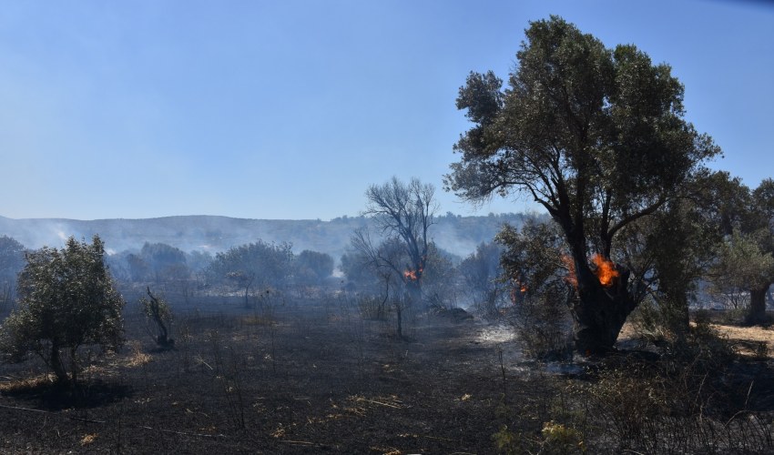 Πηγή εικόνας: Φωτογραφικό Αρχείο «π»