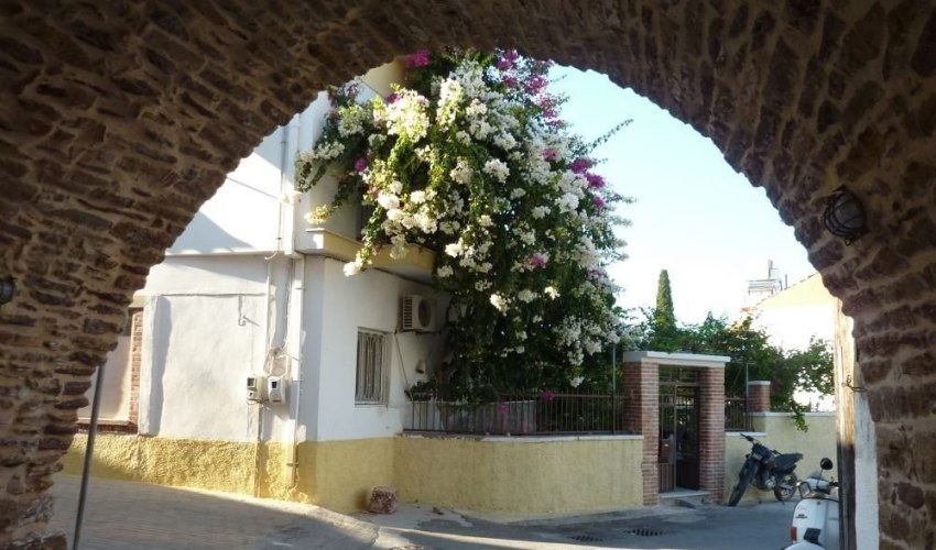 Φωτογραφία: discoverchios.gr