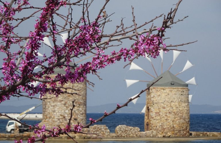 Φώτο: Ισαβέλλα Μπουρνιά