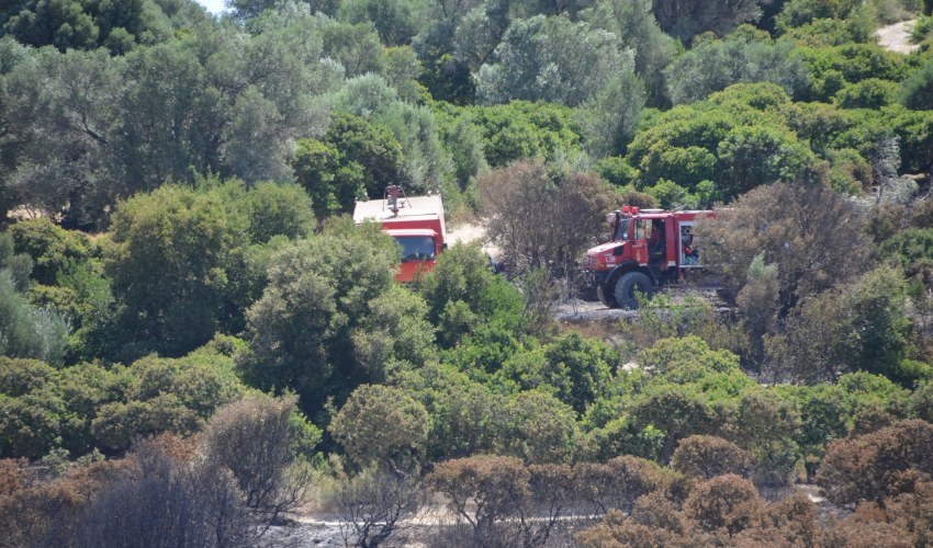 Πηγή: Φωτογραφικό αρχείο «π»