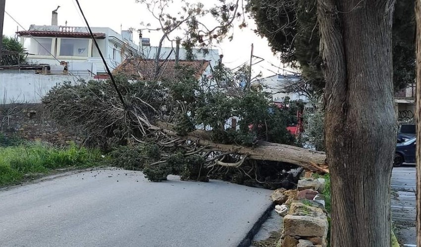 ΠΗΓΗ ΦΩΤΟ: Γιάννης Σταμούλης