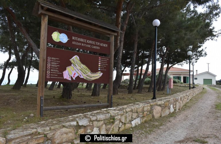 Μεγάλοι στρόφιγγες βίντεο