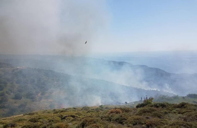 Πηγή φώτο: Βιβή Ποταμούση