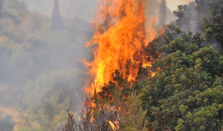 Φωτό: αρχείου