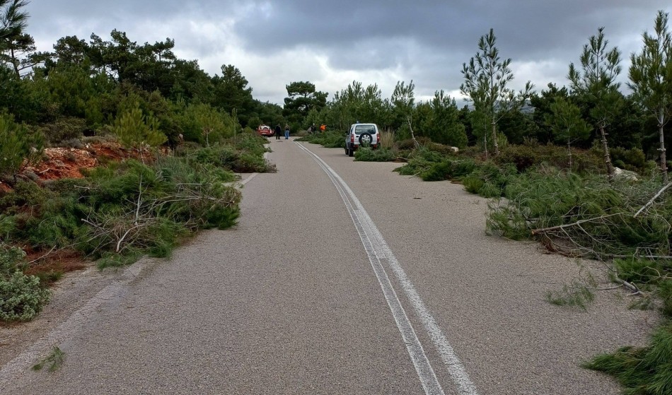 Φωτογραφία- Θοδωρής Παντελόγλου