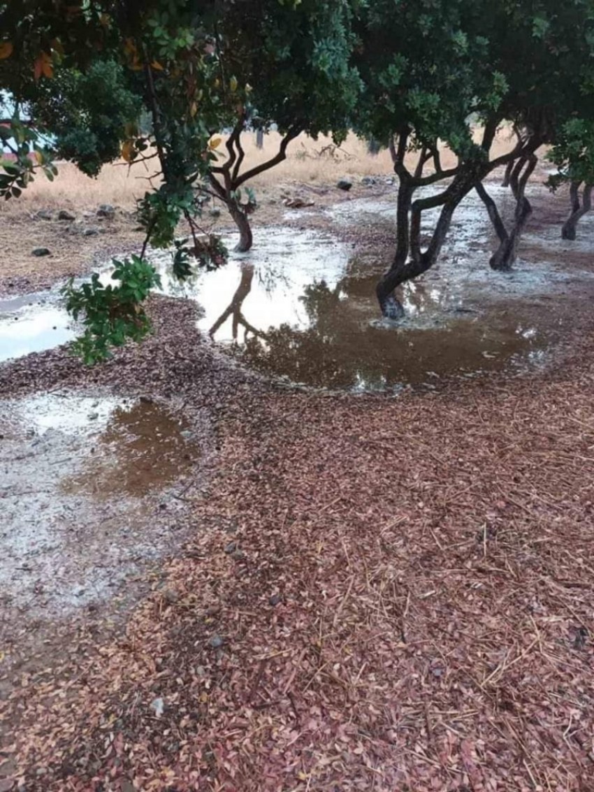 Φωτογραφία από τις ζημιές στην περιοχή των Μεστών