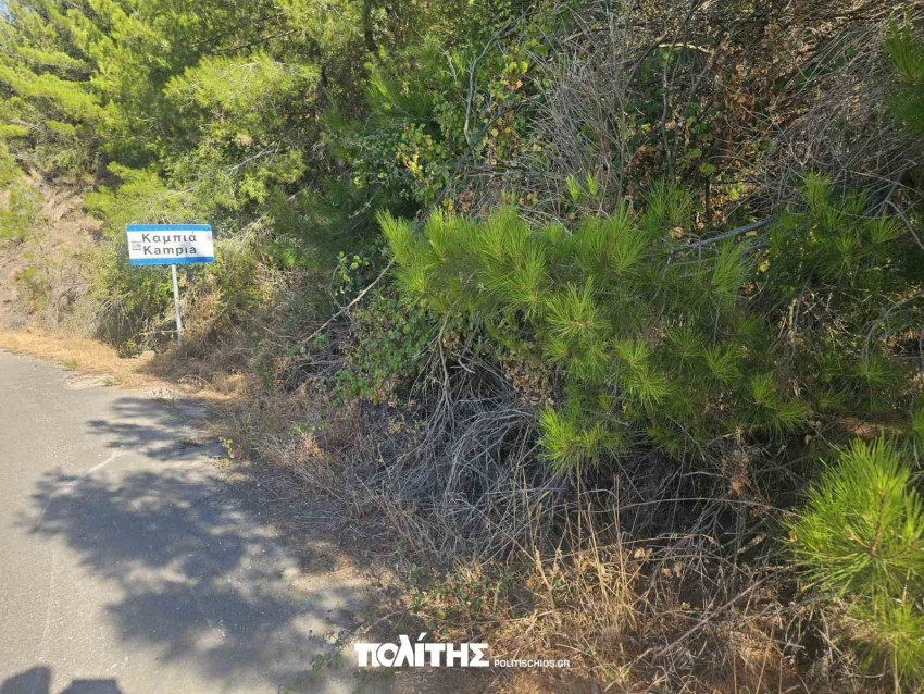 Ακαθάριστες εκτάσεις προς Καμπιά