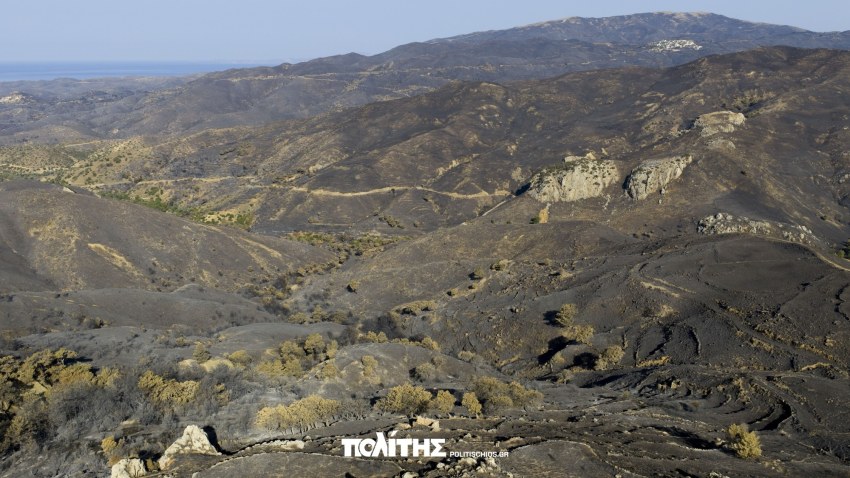 Άποψη των καμένων εκτάσεων από την πλευρά των Κηπουριών