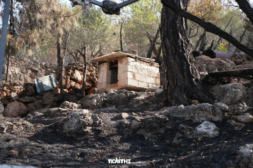 Καμένη ιδιοκτησία στις Κηπουριές