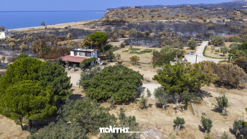 Άποψη των καμένων εκτάσεων της παραλίας του Μάναγρου
