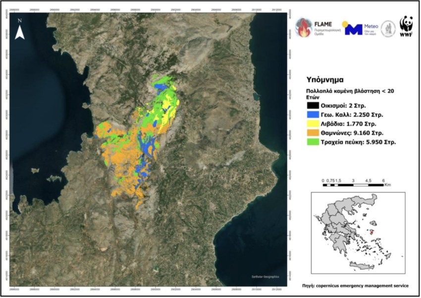 Εικόνα 3. Αποτύπωση εκτάσεων πολλαπλά καμένης βλάστησης για την πυρκαγιά της Χίου.
