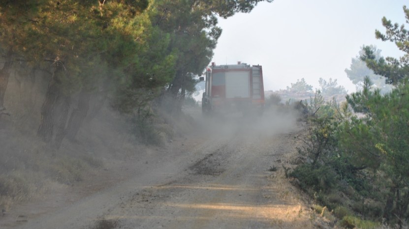 Βίκι: Υπό έλεγχο η φωτιά –Σύλληψη ενός άνδρα και έρευνα για τα αίτια