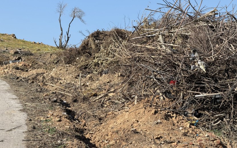 Δεν βάζουμε μυαλό - Παρατημένοι σωροί με καύσιμη ύλη στον Κοφινά στο παραπέντε της αντιπυρικής περιόδου