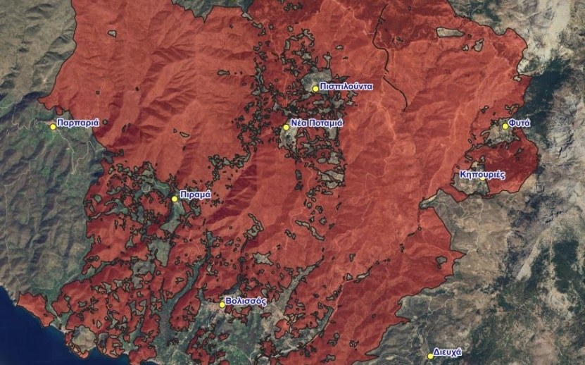 Δεκαετής απαγόρευση βοσκής σε αναδασωτέες εκτάσεις της Χίου
