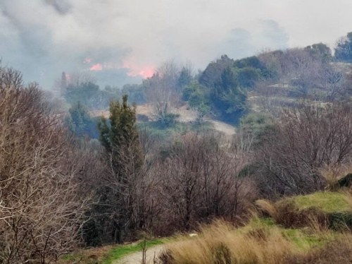 Επιτόπου έσπευσαν 33 πυροσβέστες με ομάδα πεζοπόρου τμήματος, 11 οχήματα και δύο αεροσκάφη τύπου Καναντέρ. Για την κατάσβεση κινητοποιήθηκαν επίσης πολλοί εθελοντές από την ευρύτερη περιοχή και υδροφόρες του δήμου. (ΑΠΕ/ΜΠΕ)