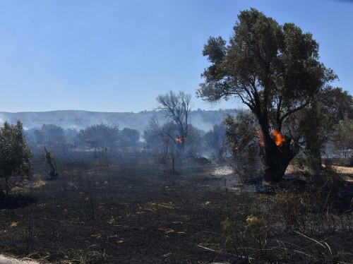 Πηγή εικόνας: Φωτογραφικό Αρχείο «π»