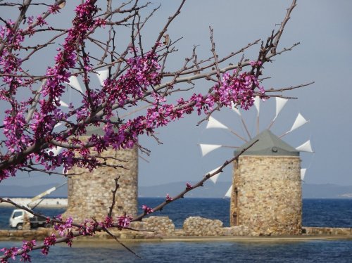 Φώτο: Ισαβέλλα Μπουρνιά