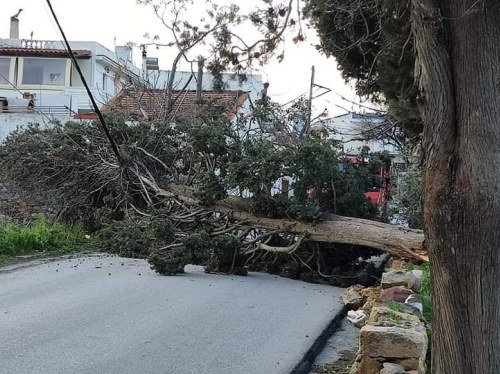 ΠΗΓΗ ΦΩΤΟ: Γιάννης Σταμούλης