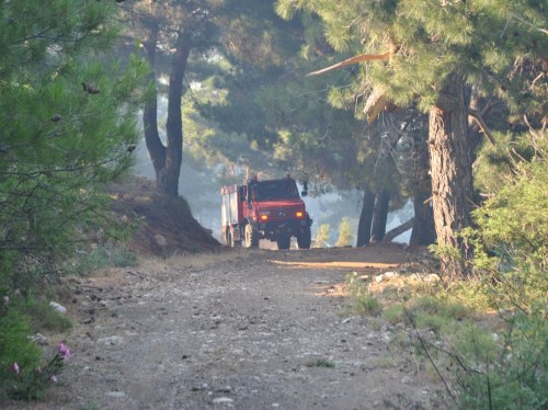 Φωτογραφία αρχείου