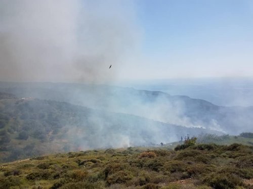 Πηγή φώτο: Βιβή Ποταμούση