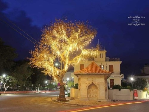 ΦΩΤΟ: ΤΟΛΗΣ ΦΛΙΟΥΚΑΣ