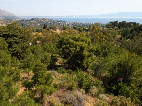 Γενική απαγόρευση κυκλοφορίας στα δάση της Χίου μέχρι 31 Οκτωβρίου