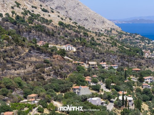 Ελλιπή μέτρα πρόληψης, απουσία αντιπυρικών έργων και σωρευμένη βιομάζα έκαψαν τον Βροντάδο