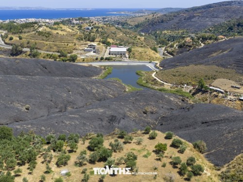 Προθεσμία έως 10 Ιουλίου για τις δηλώσεις ζημιάς από την πυρκαγιά στη Χίο