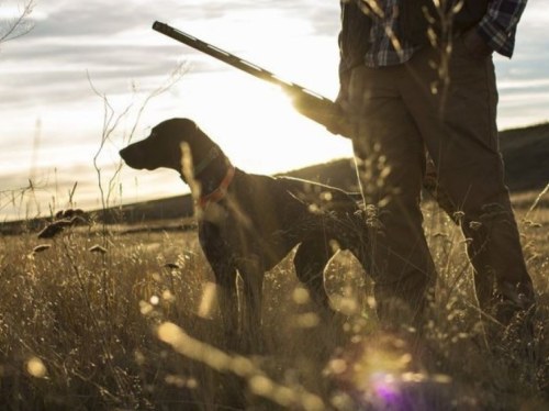 Ημερομηνία εξετάσεων για νέους κυνηγούς στη Χίο