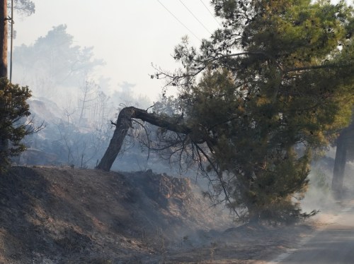 Ψίχουλα από το ΥΠ.ΕΣ. στον Δήμο Χίου για την αποκατάσταση ζημιών από την πυρκαγιά