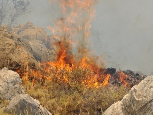 Η Παρπαριά ξανανοίγει τον φάκελο πυροπροστασίας