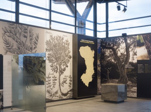 Δράση για εκπαιδευτικούς στο Μουσείο Μαστίχας Χίου