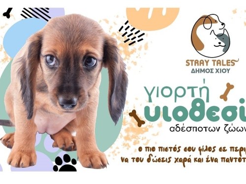 Παγκόσμια Ημέρα Αδέσποτων Ζώων και 9η Γιορτή Υιοθεσίας στον Δήμο Χίου