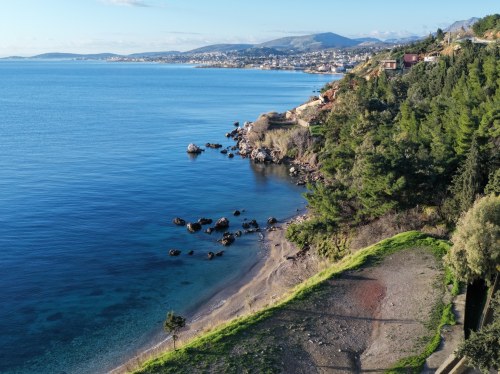 Μία απεγνωσμένη κραυγή για τη νέα γενιά της Χίου