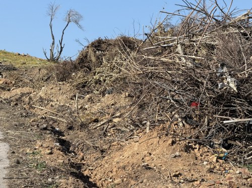 Δεν βάζουμε μυαλό - Παρατημένοι σωροί με καύσιμη ύλη στον Κοφινά στο παραπέντε της αντιπυρικής περιόδου