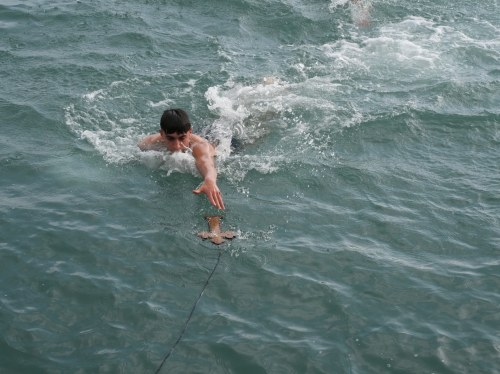 Με λαμπρότητα και ιατρικά πιστοποιητικά πραγματοποιήθηκε ο καθαγιασμός των υδάτων στο λιμάνι της Χίου