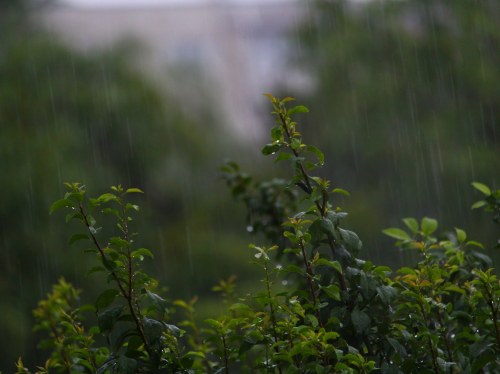 Μεγάλες αποκλίσεις στα βροχομετρικά της Χίου