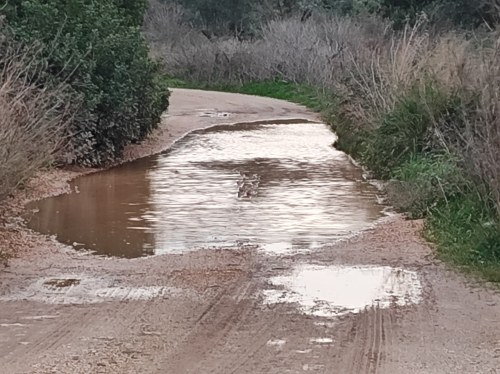 Αδιάβατοι αγροτικοί δρόμοι... συνέχεια