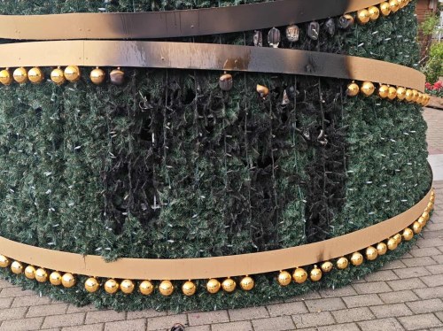 Σύλληψη 23χρονου για τον εμπρησμό του δέντρου στην πλατεία