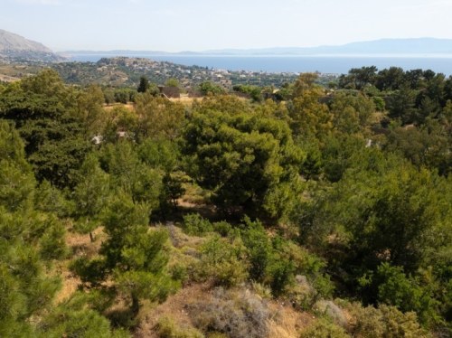 Υποχρέωση καθαρισμού οικοπέδων και λοιπών χώρων για  την αντιπυρική περίοδο 2026