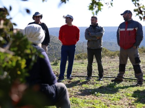 Έναρξη των μαθημάτων του Προγράμματος «Μαστιχόδεντρα: Διασφαλίζοντας το μέλλον  ενός εθνικού προϊόντος» για το 2026