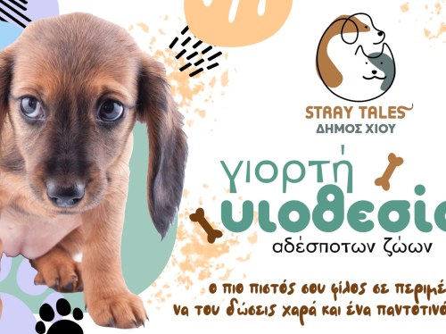 Κουταβάκια για υιοθεσία στο Δημαρχείο Χίου