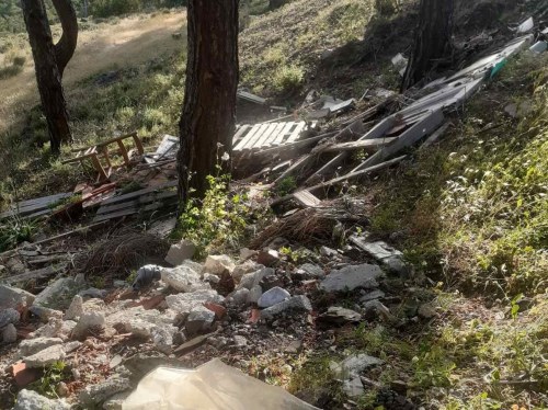 Καρδάμυλα: Το δάσος στο έλεος της αδιαφορίας