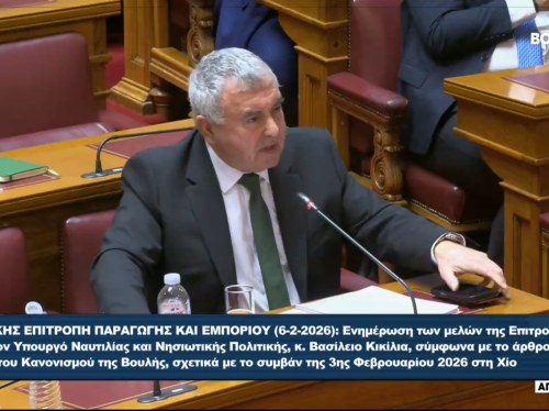 Σταύρος Μιχαηλιδης - «Χάσαμε και χρηματοδότηση και ανθρώπινες ζωές, επειδή δεν λειτούργησε το κράτος»