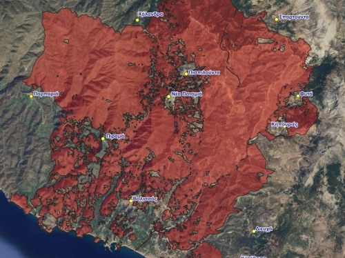 Δεκαετής απαγόρευση βοσκής σε αναδασωτέες εκτάσεις της Χίου