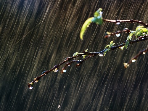Πολλαπλάσιες ποσότητες νερού κατέληξαν... στη θάλασσα τον φετινό Γενάρη