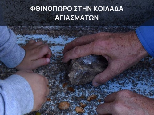 Φθινοπωρινή πεζοπορία στην κοιλάδα των Αγιασμάτων με δράσεις για όλες τις ηλικίες